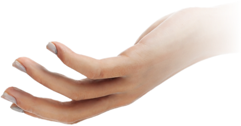 Services for the Entrepreneur Image